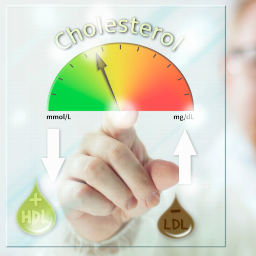 cholesterol-management